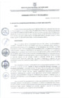 Vista preliminar de documento ORDENANZA MUNICIPAL N 008-2024-MPPA-A