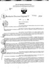Vista preliminar de documento RDR 11442-2024