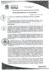 Vista preliminar de documento ORDENANZA MUNICIPAL Nº 002-2025-MPP-T