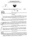Vista preliminar de documento RDR 11443-2024