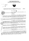 Vista preliminar de documento RDR 11445-2024