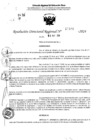 Vista preliminar de documento RDR 11446-2024