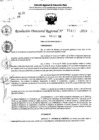 Vista preliminar de documento RDR 11447-2024