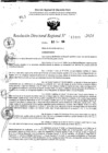 Vista preliminar de documento RDR 11449-2024