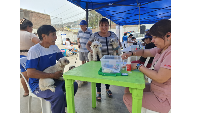 Los vecinos pudieron acceder a los servicios gratuitos de: corte de cabello, manicure, trencitas, caritas pintadas, pintura, dibujo, juegos inflables, carritos eléctricos y servicios veterinarios.
Seguiremos trabajando de manera descentralizada para llevar estos servicios gratuitos a todos los rincones de nuestro distrito.