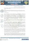 Vista preliminar de documento RA 012