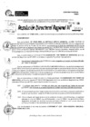 Vista preliminar de documento RDR 11454-2024