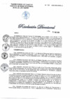 Vista preliminar de documento 133-2020-DG-DIRIS-LC