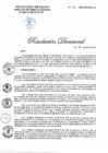 Vista preliminar de documento 136-2020-DG-DIRIS-LC