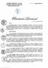 Vista preliminar de documento 137-2020-DG-DIRIS-LC