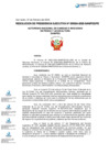 Vista preliminar de documento 024-2025-SANIPES/PE