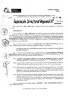 Vista preliminar de documento RDR 11462-2024