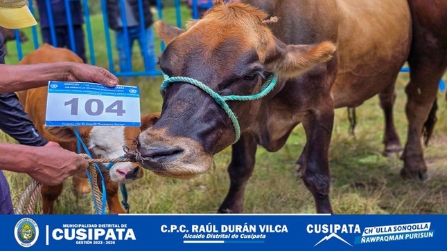 Desarrollo de la Feria Agropecuaria, Comercial y Gastronómico en la Comunidad Campesina de Moccoraise