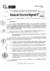 Vista preliminar de documento RDR 11474-2024