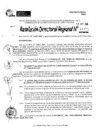 Vista preliminar de documento RDR 11475-2024