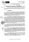 Vista preliminar de documento RDR 11477-2024