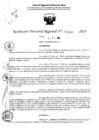 Vista preliminar de documento RDR 11480-2024