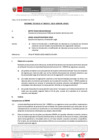 Vista preliminar de documento Informe Técnico N°001925-2024-SERVIR/GPGSC