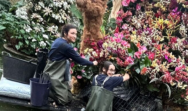 Orquídeas