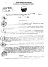 Vista preliminar de documento RDR 11484-2024