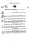 Vista preliminar de documento RDR 11485-2024