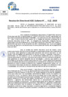 Vista preliminar de documento Resolucion Directoral N° 000263-2025