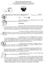 Vista preliminar de documento RDR 11486-2024