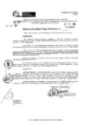 Vista preliminar de documento RDR 11489-2024