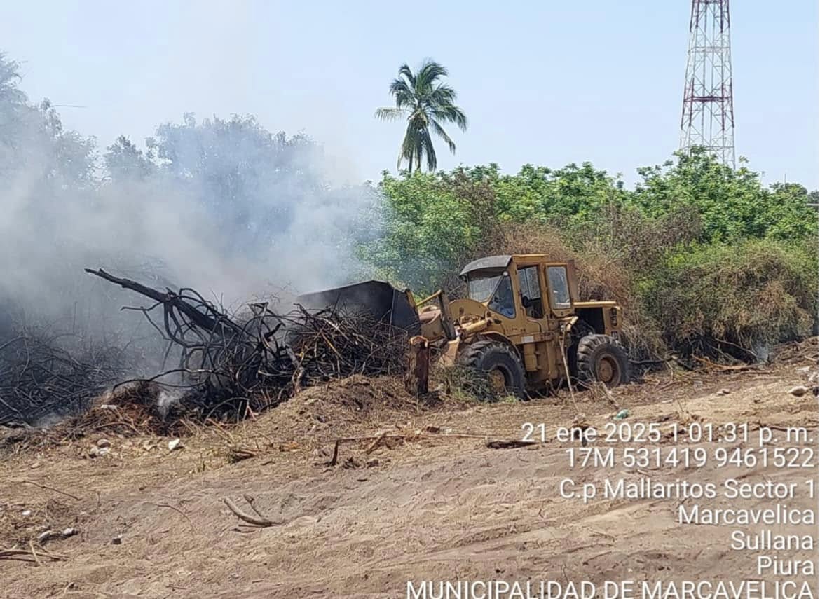 emergencia por incendio forestal en mallaritos controlada exitosamente