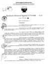 Vista preliminar de documento RDR 11490-2024