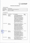 Vista preliminar de documento FORMATO ANEXO 3