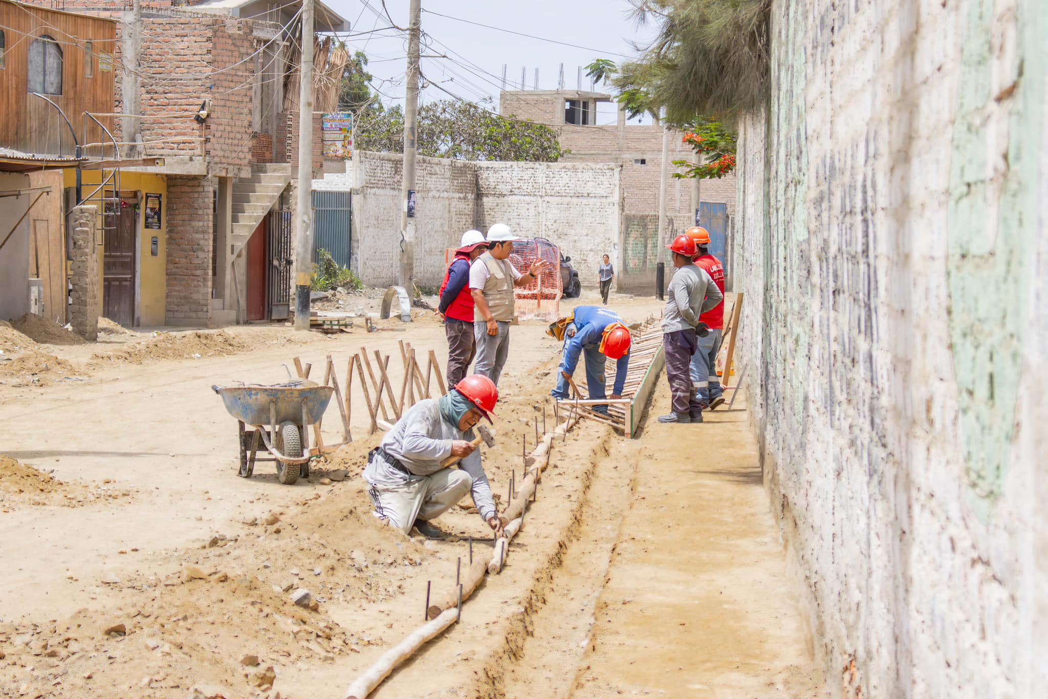 Foto: Unidad de Imagen Institucional