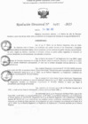Vista preliminar de documento RD N° 77-2025
