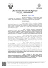 Vista preliminar de documento RDR Nº 4781-2024-GRSM-DRE