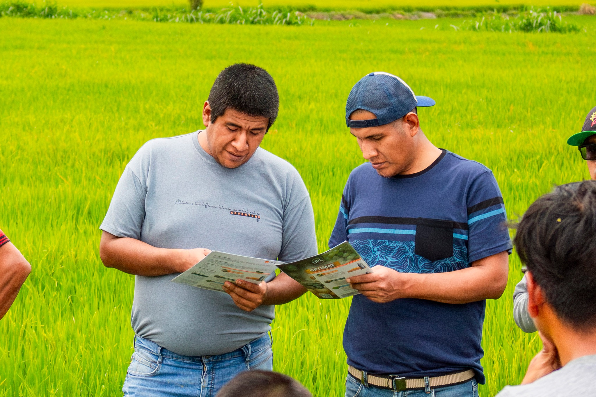Foto: Unidad de Imagen Institucional
