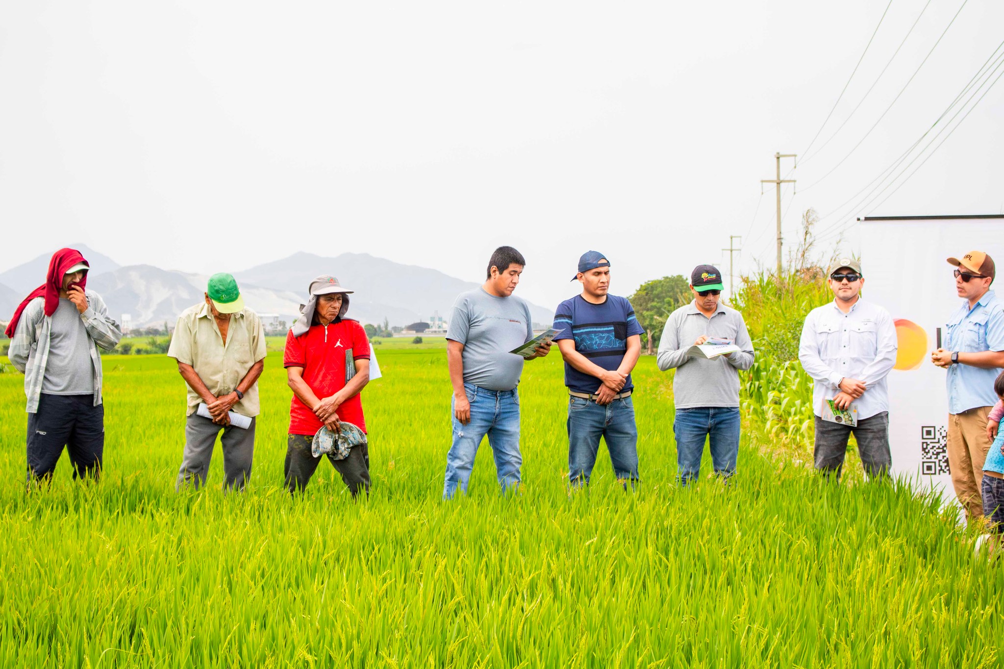 Foto: Unidad de Imagen Institucional