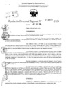 Vista preliminar de documento RDR 11493-2024