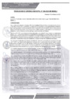 Vista preliminar de documento rgm-028