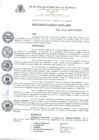 Vista preliminar de documento Resolucion_de_Alcaldia_N_349_2019_A_MPR.pdf