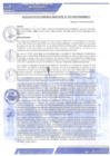 Vista preliminar de documento rgm-013