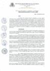 Vista preliminar de documento Resolucion_de_Alcaldia_N_310_2019_A_MPR.pdf