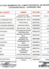 Vista preliminar de documento Directorio_Miembros_Coprosec.pdf
