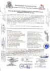 Vista preliminar de documento Acta_Instalacion_Juramentacion_COPROSEC.pdf