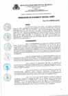 Vista preliminar de documento Resolucion_de_Alcaldia_N_038_2021_A_MPR.pdf