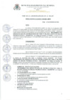 Vista preliminar de documento Resolucion_de_Alcaldia_N_339_2020_A_MPR.pdf