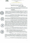 Vista preliminar de documento Resolucion_de_Alcaldia_N_009_2021_A_MPR.pdf