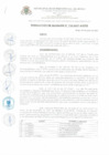 Vista preliminar de documento RESOLUCION_ALCALDIA_N_133_2021_A_MPR.pdf