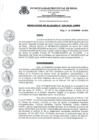 Vista preliminar de documento Resolucion_de_Alcaldia_N_325_2020_A_MPR.pdf