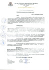 Vista preliminar de documento Resolucion_de_Alcaldia_N_313_2020_A_MPR.pdf