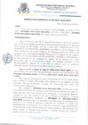 Vista preliminar de documento Resolucion_Gerencial_N_049_2024_GSAT_MPR.pdf